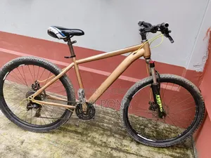 Modified Stunt Cycle