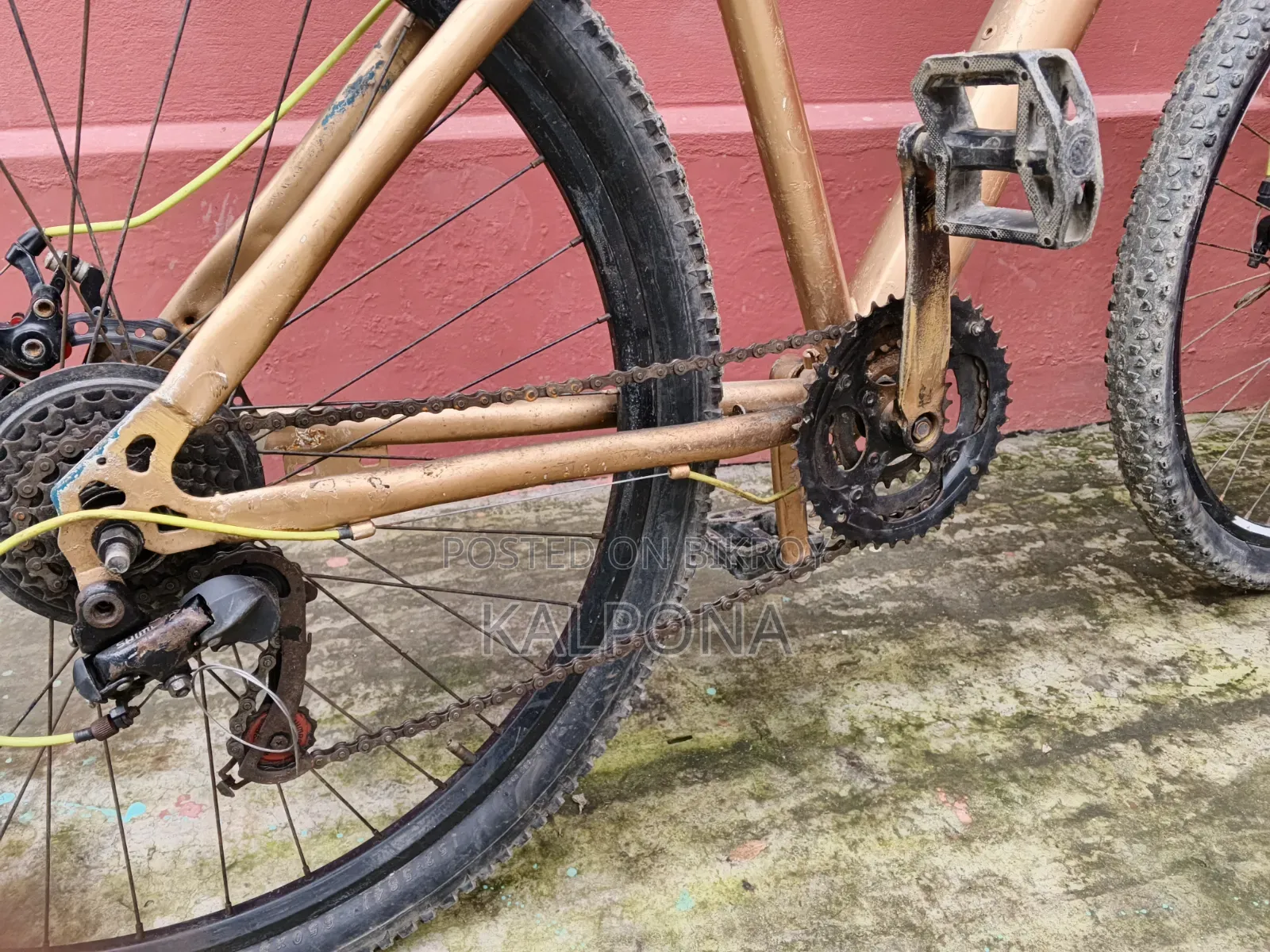 Modified Stunt Cycle