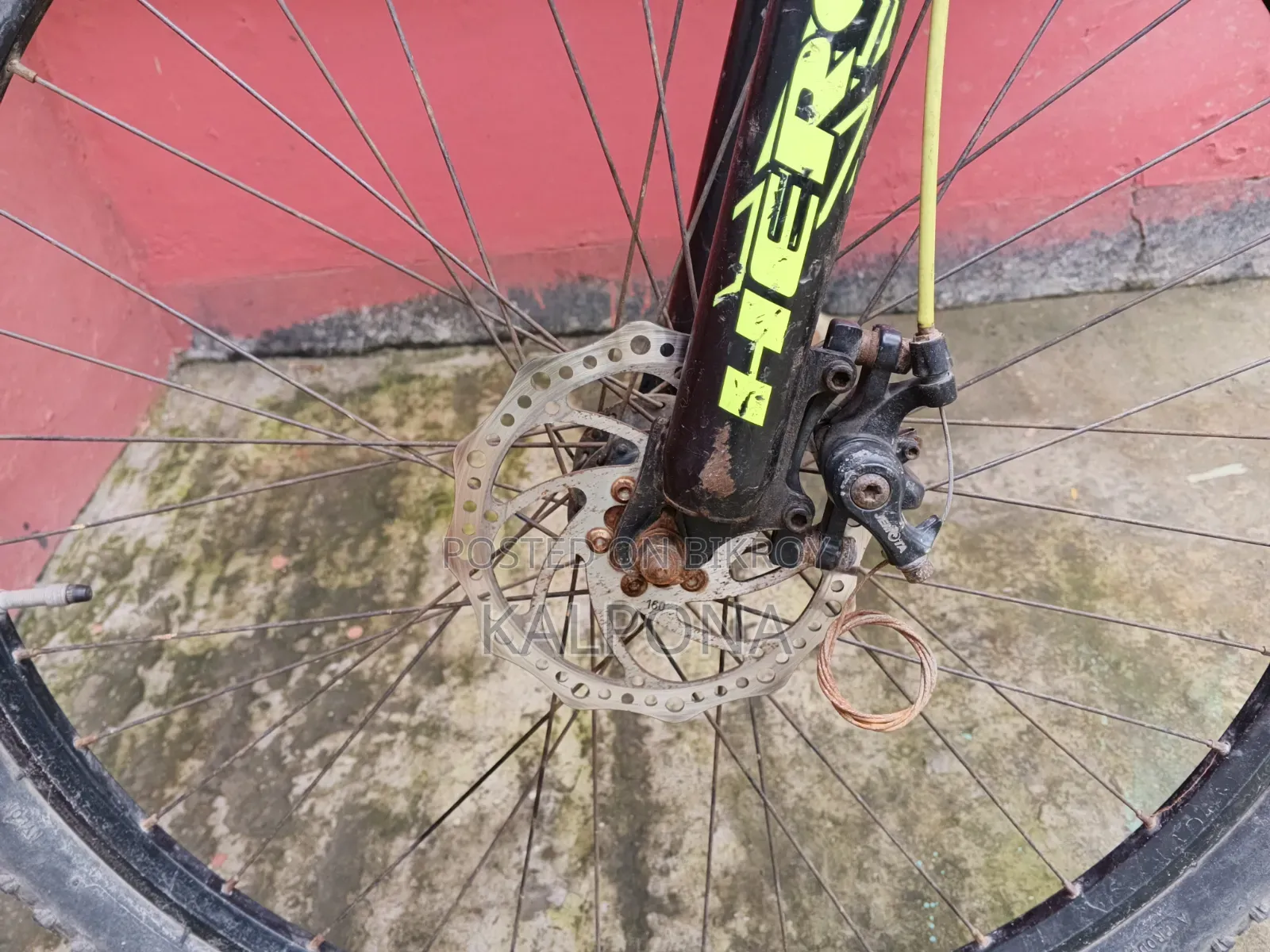 Modified Stunt Cycle