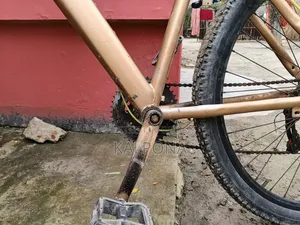 Modified Stunt Cycle