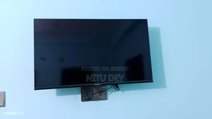 Singer LED TV