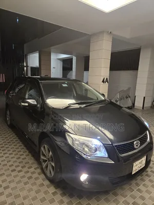 Toyota Corolla Fielder 2010 Black