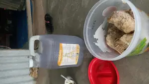 সুন্দরবনের মধু