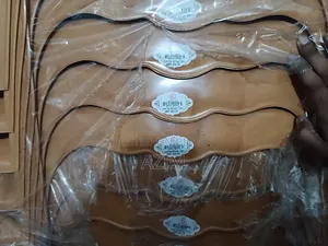RFL Premium Plastic Chair
