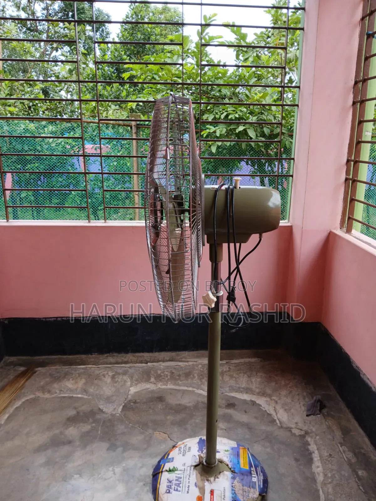 পাকিস্তানি পাখি ফ্যান