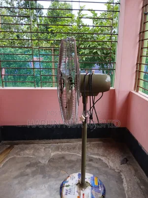 পাকিস্তানি পাখি ফ্যান