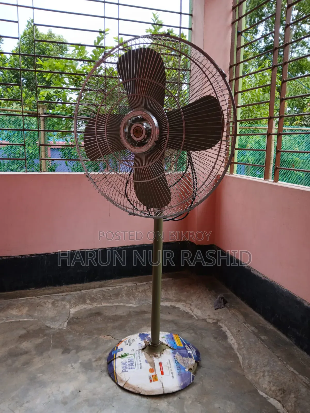 পাকিস্তানি পাখি ফ্যান