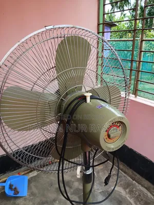পাকিস্তানি পাখি ফ্যান