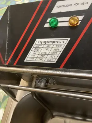Deep Fryer 10 Liter
