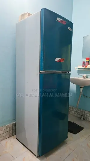 Singer Fridge