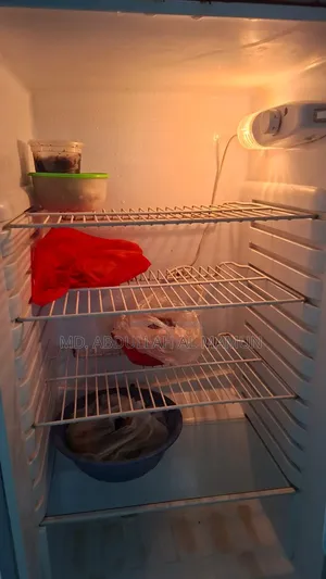 Singer Fridge