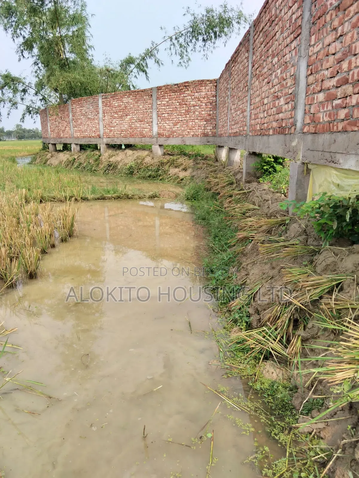 330 Katha Land Sale at Saidpur
