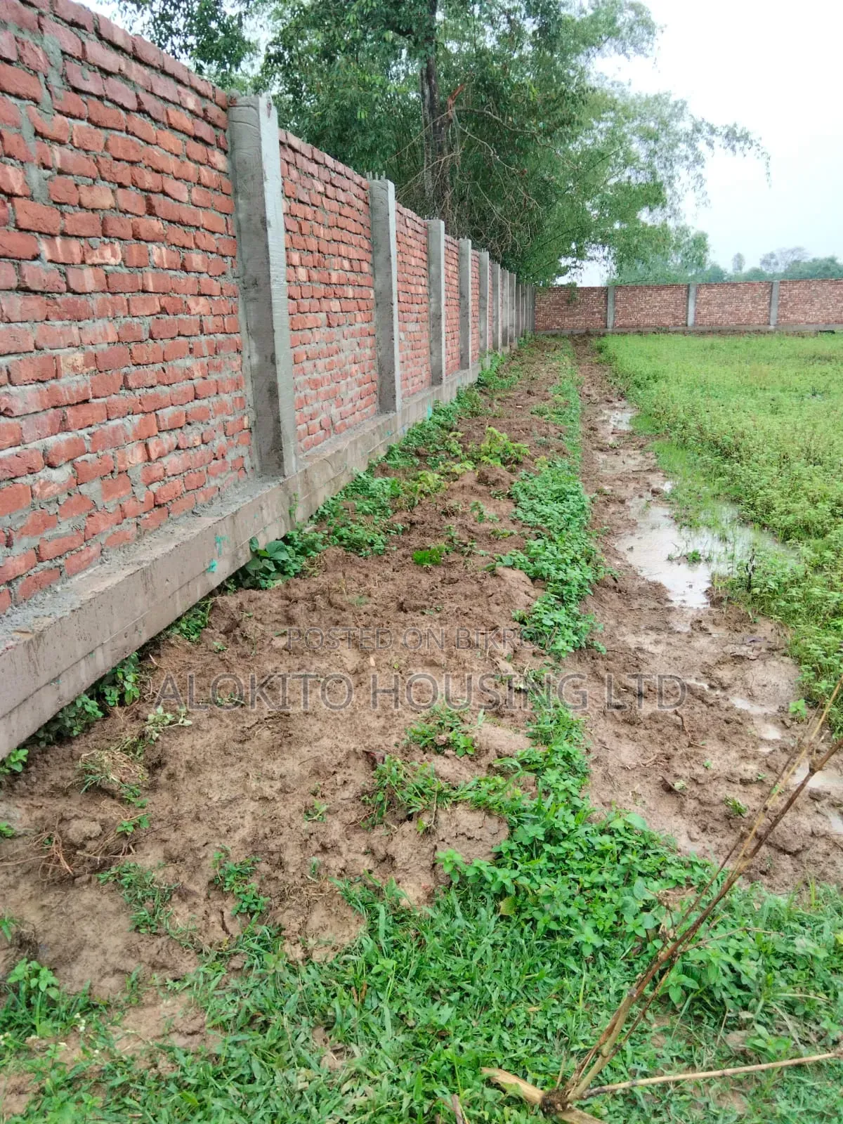 330 Katha Land Sale at Saidpur