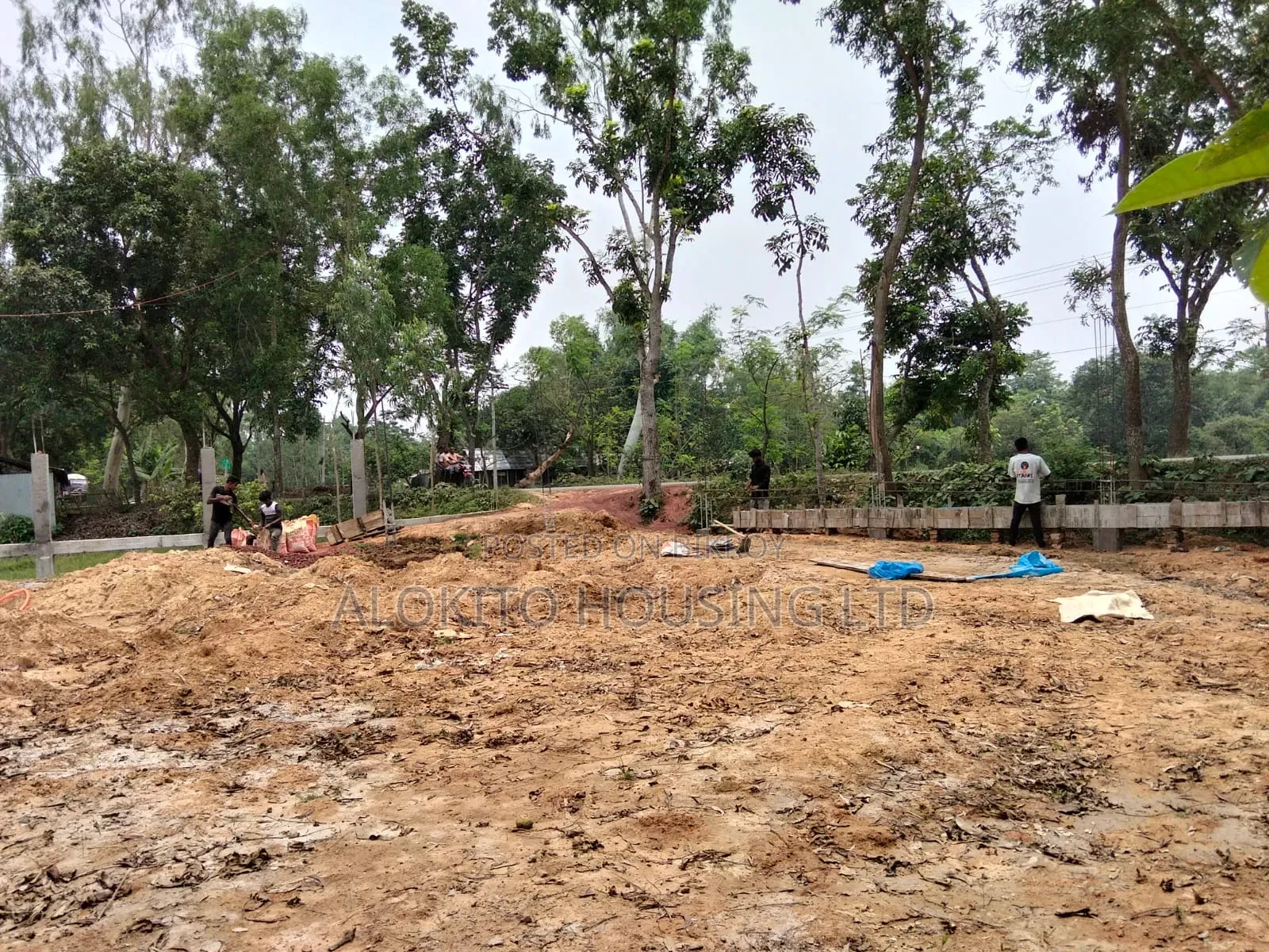 330 Katha Land Sale at Saidpur