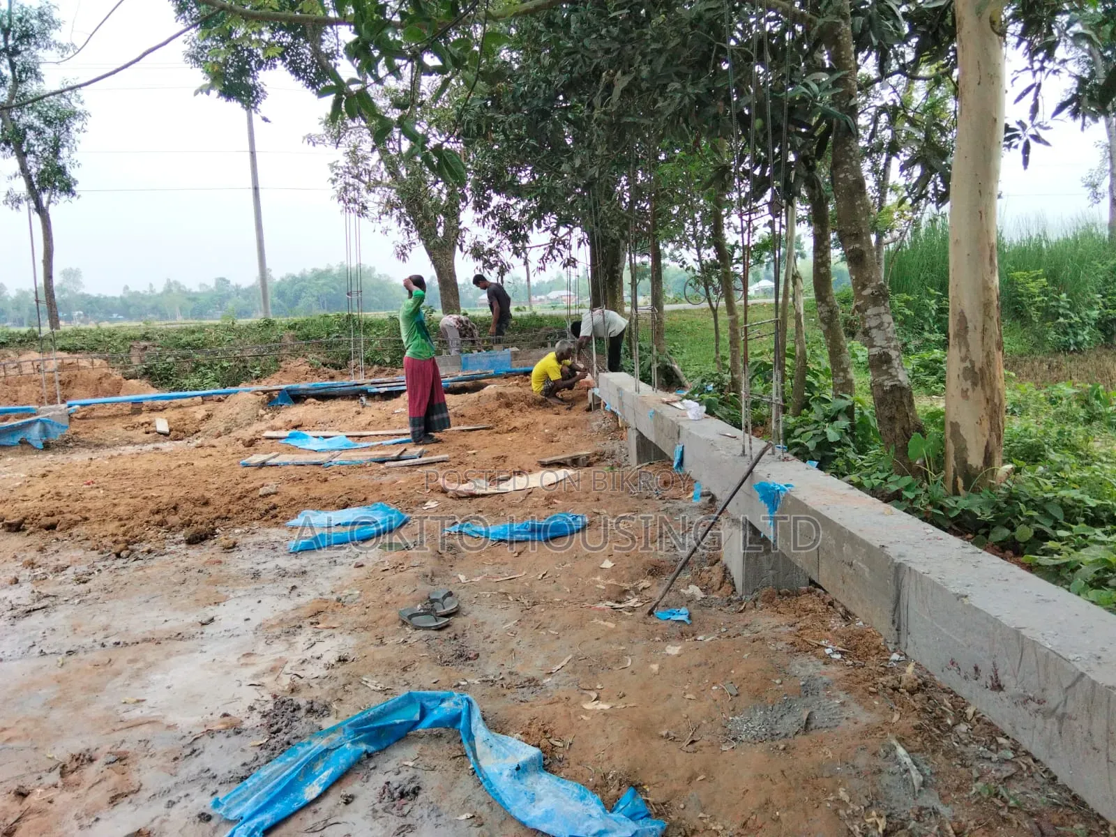 330 Katha Land Sale at Saidpur