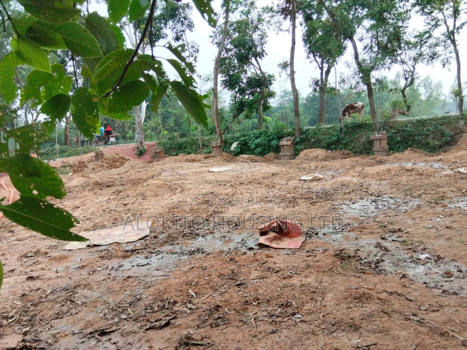 330 Katha Land Sale at Saidpur