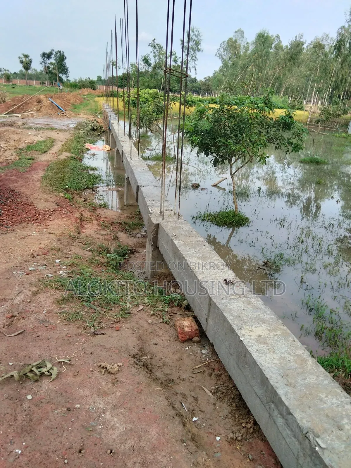 330 Katha Land Sale at Saidpur