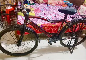 Duronto Bicycle for Sale.