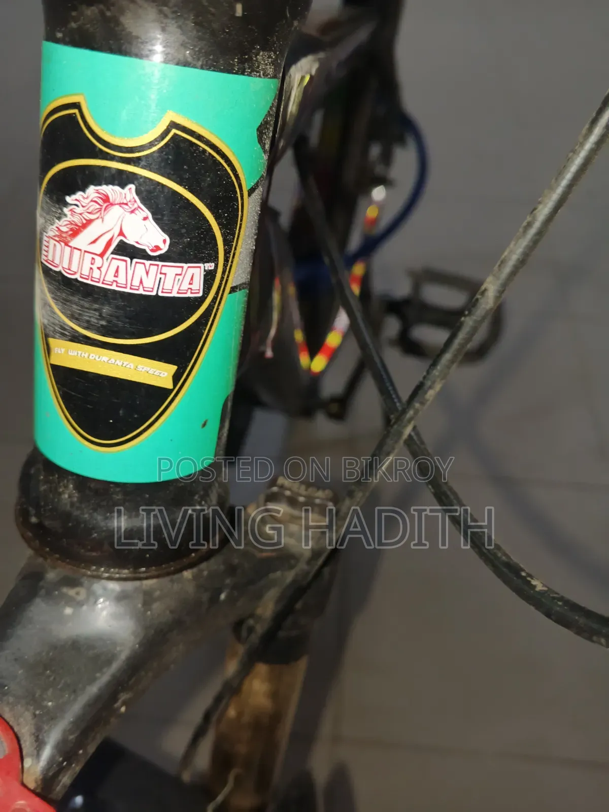 Absolutely fresh condition