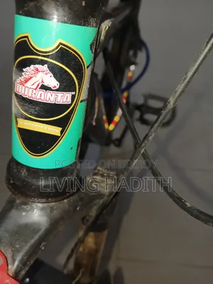 Absolutely fresh condition