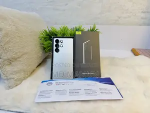 Samsung Galaxy S25 Ultra 256 GB Gray