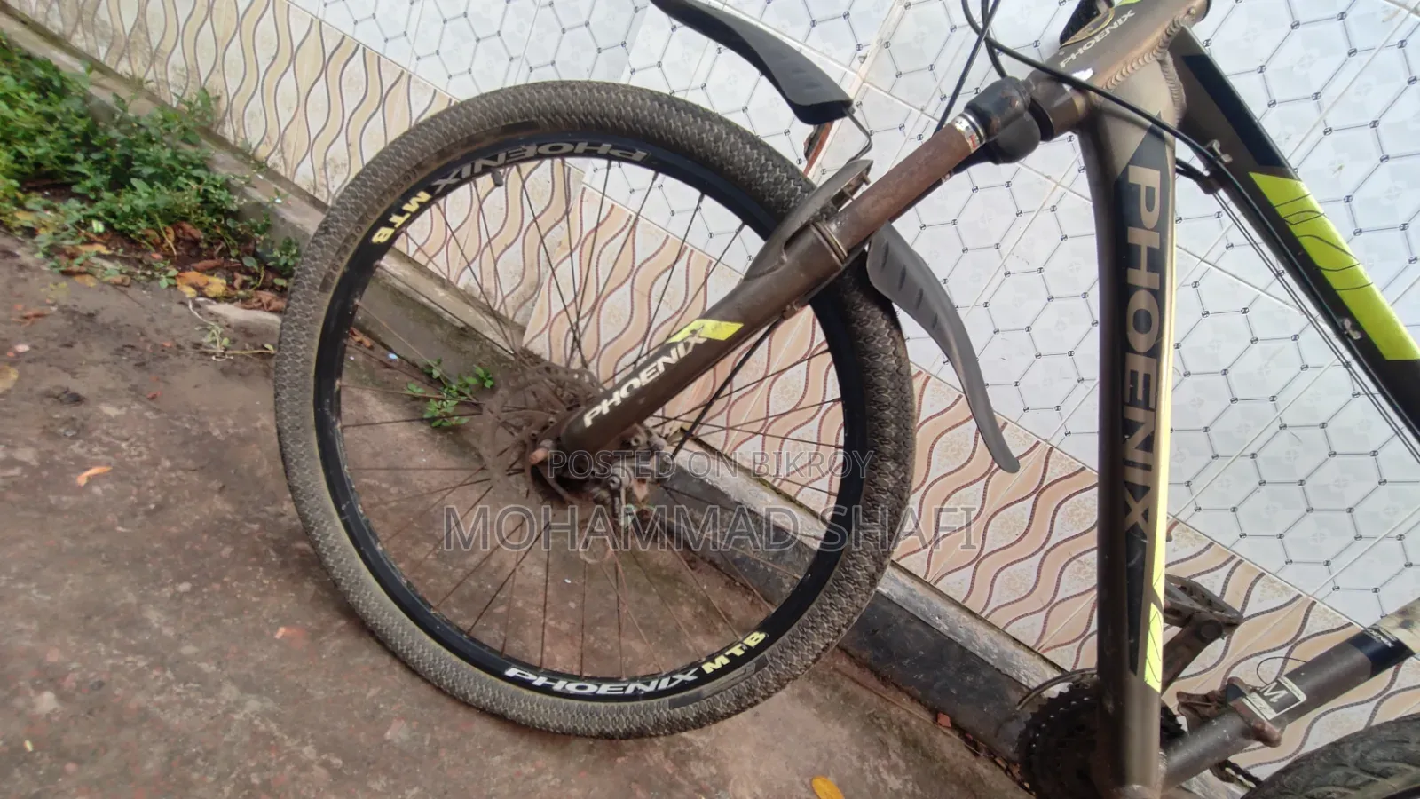 Original Phoenix Bicycle