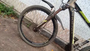Original Phoenix Bicycle