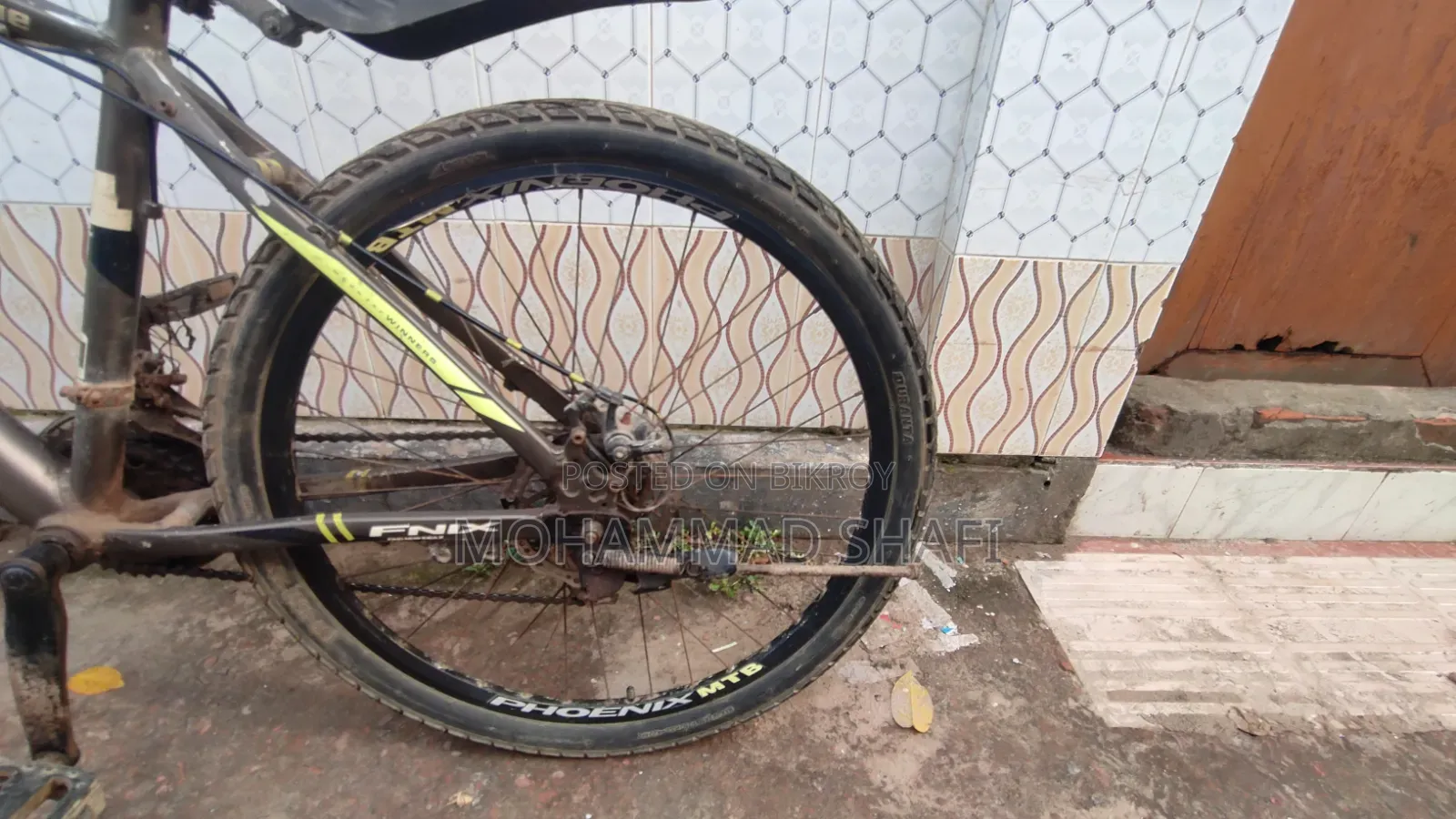 Original Phoenix Bicycle
