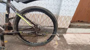 Original Phoenix Bicycle