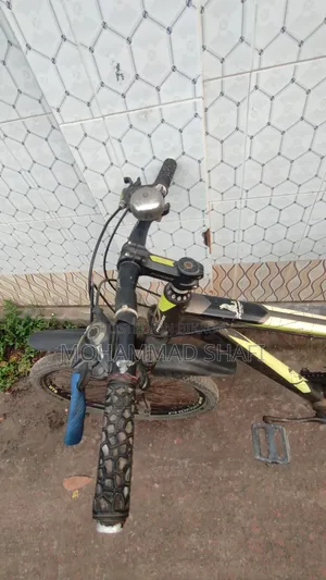 Original Phoenix Bicycle