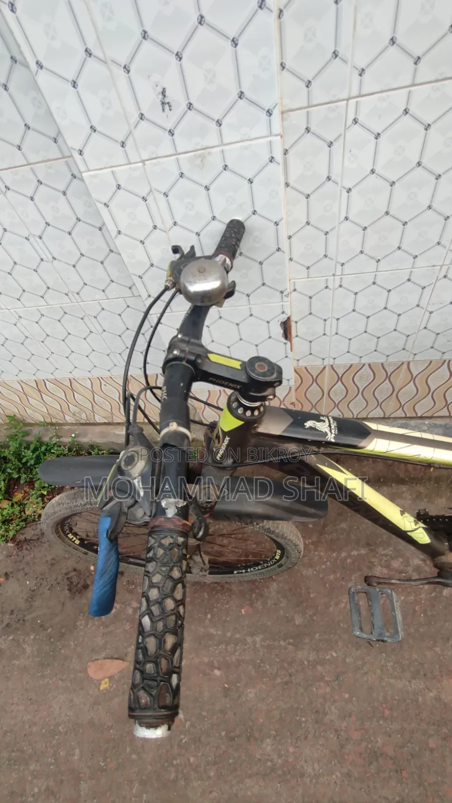 Original Phoenix Bicycle