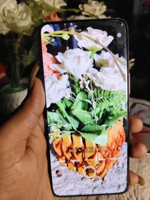 নতুন Vivo V60e ২৫৬ জিবি লাল