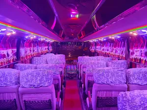 Bus 2016 Gold