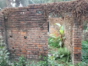 সাভার ফুলবাড়িয়াতে রাজার ঘাট খাতড়াপাড়ায়