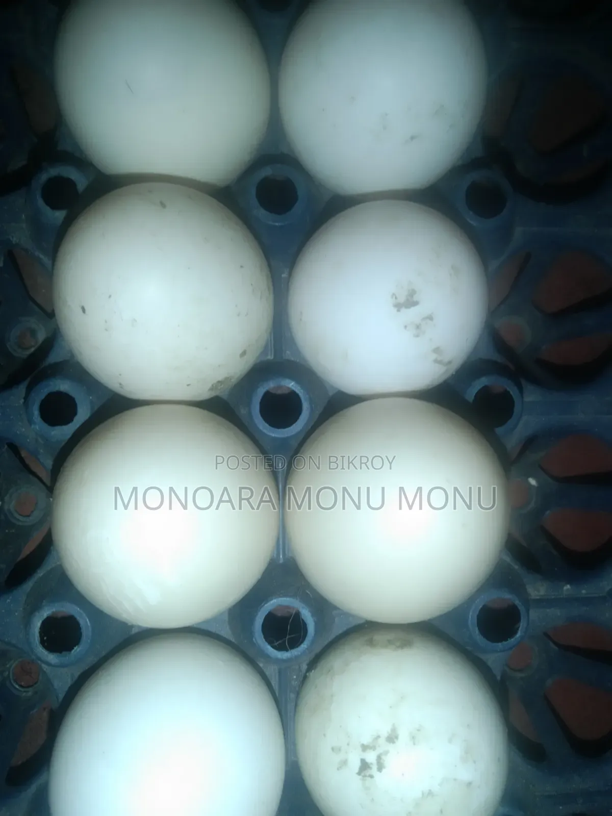 চিনা হাঁসের বিজ ডিম