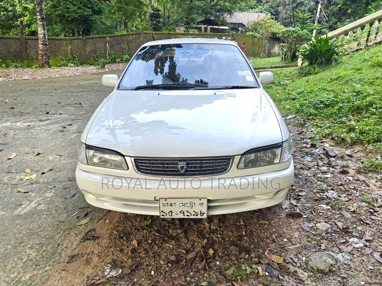 Toyota Corolla 1999 Pearl