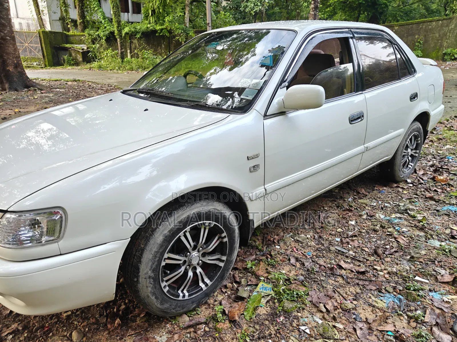 Toyota Corolla 1999 Pearl