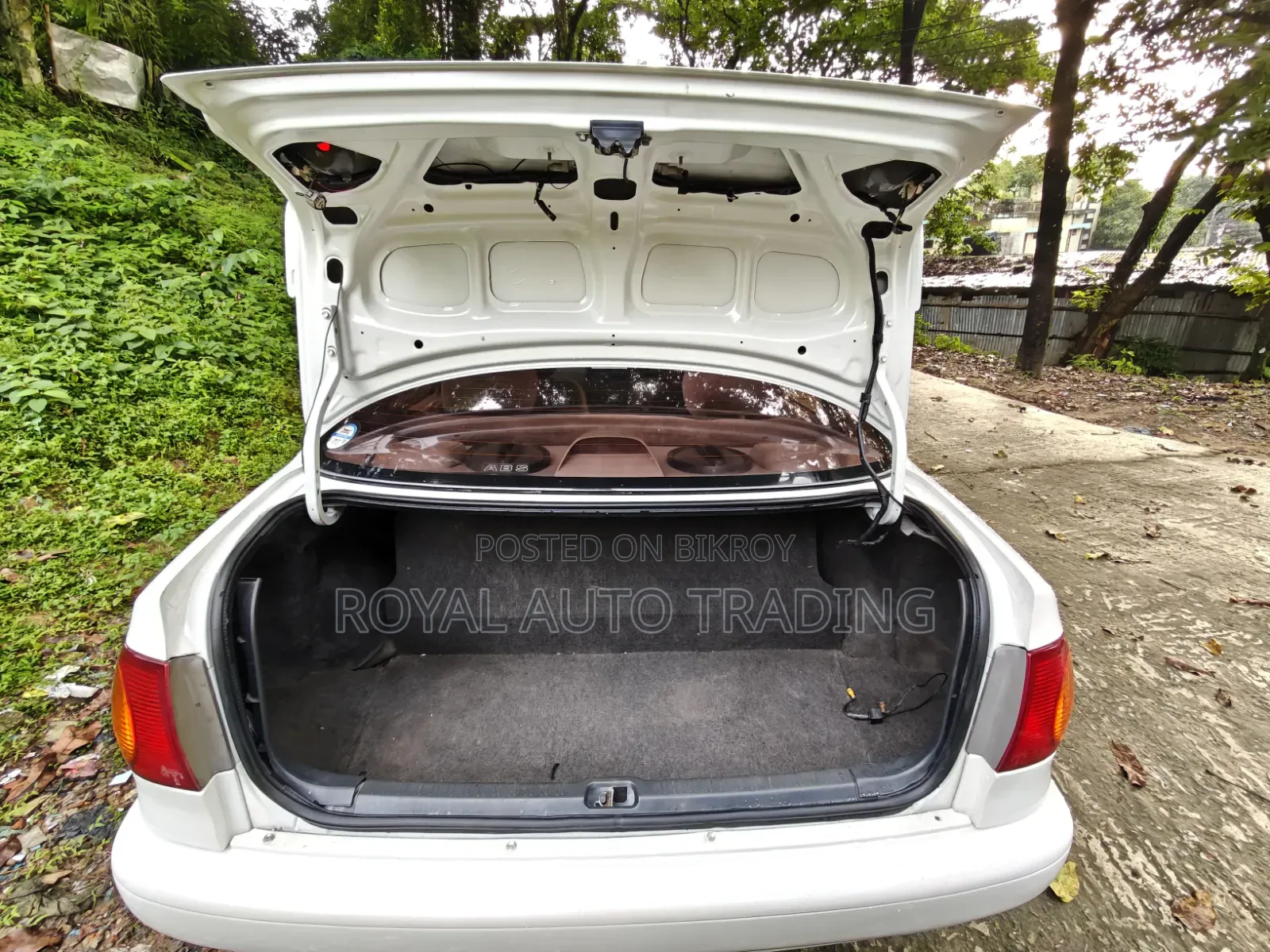 Toyota Corolla 1999 Pearl