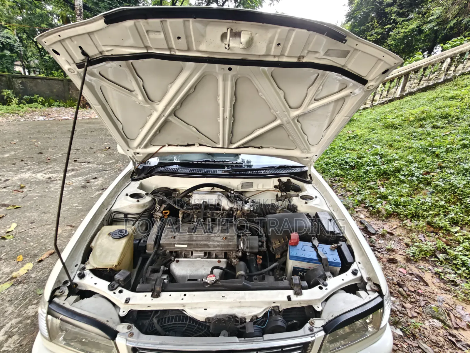 Toyota Corolla 1999 Pearl