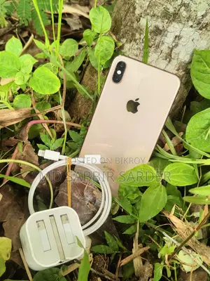 অ্যাপল আইফোন এক্সএস ম্যাক্স ২৫৬ জিবি গোল্ড