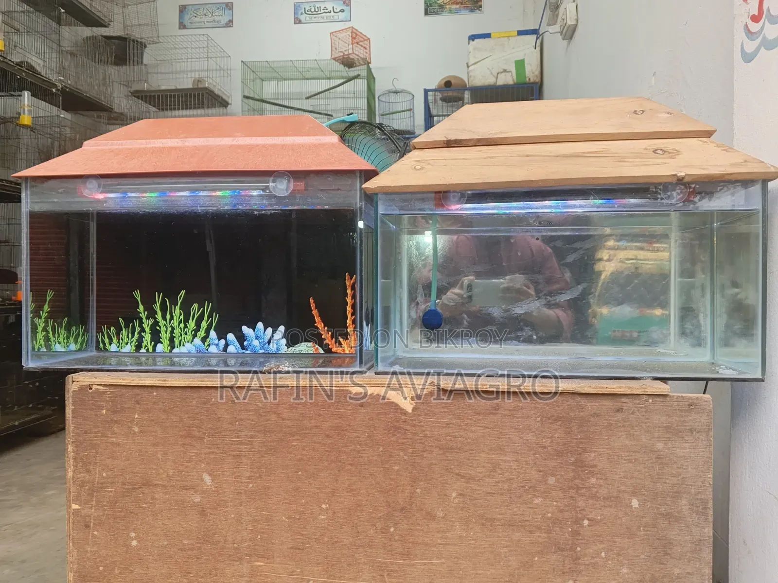 Aquarium Full Set