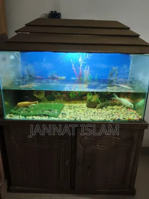 Aquarium With All Accessories Showing In The Picture