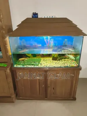 Aquarium With All Accessories Showing In The Picture