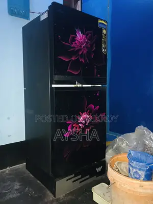 Frige 10 CFT Walton Refreezerator