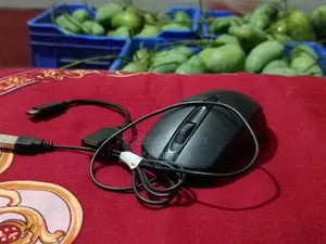 Urgent Sale: Esonic Wired Mouse + Type-C OTG (Brand New Condition)