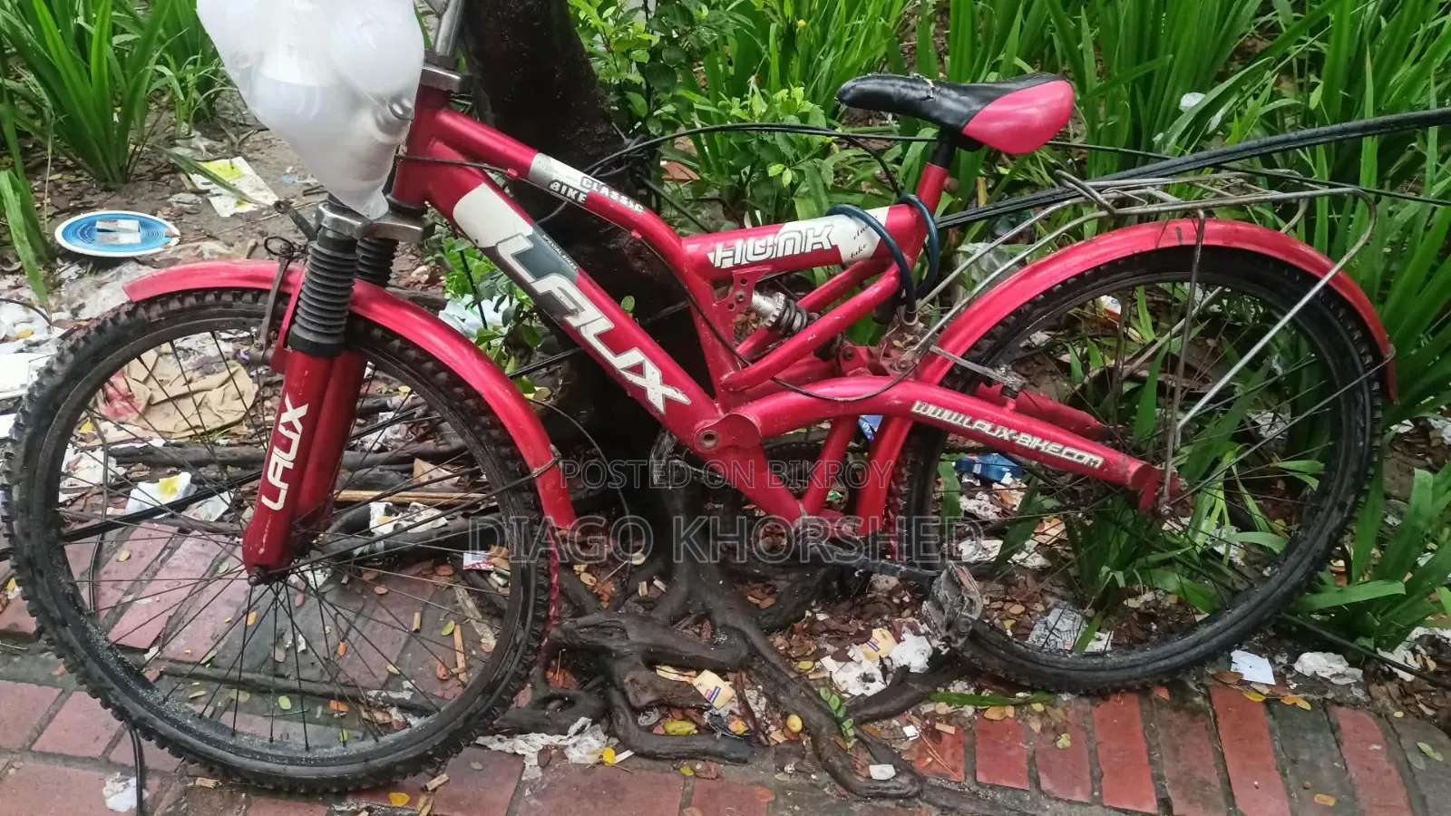 Bicycle for Adults