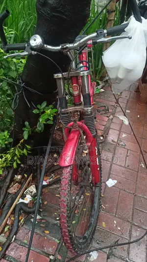 Bicycle for Adults