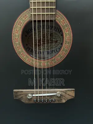 সিগনেচার গিটার