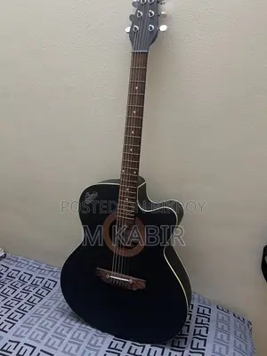 সিগনেচার গিটার