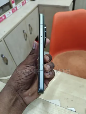 Xiaomi 13 Ultra (China) 256 GB Green